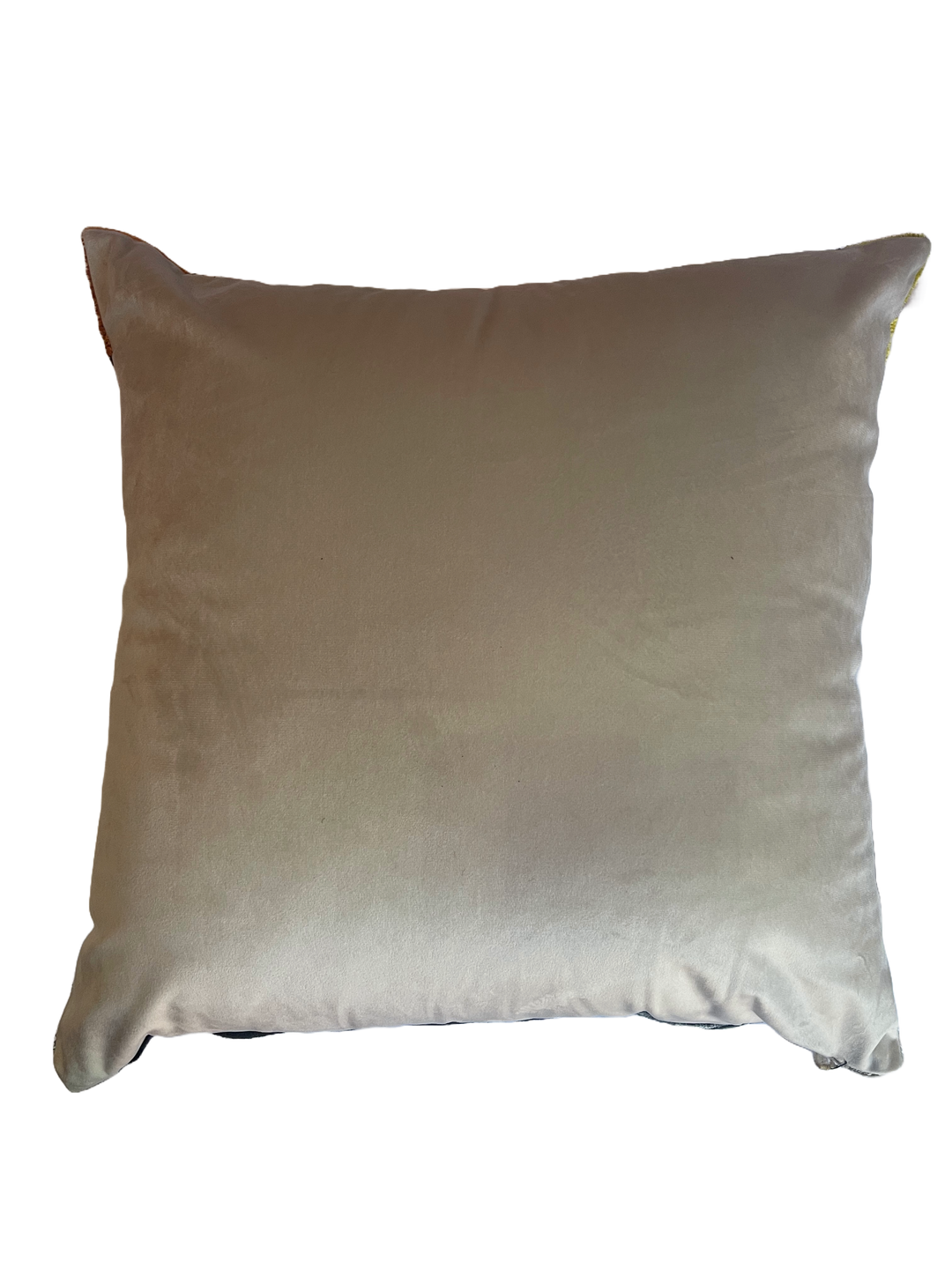 Silk velvet  graphic square throw pillow.