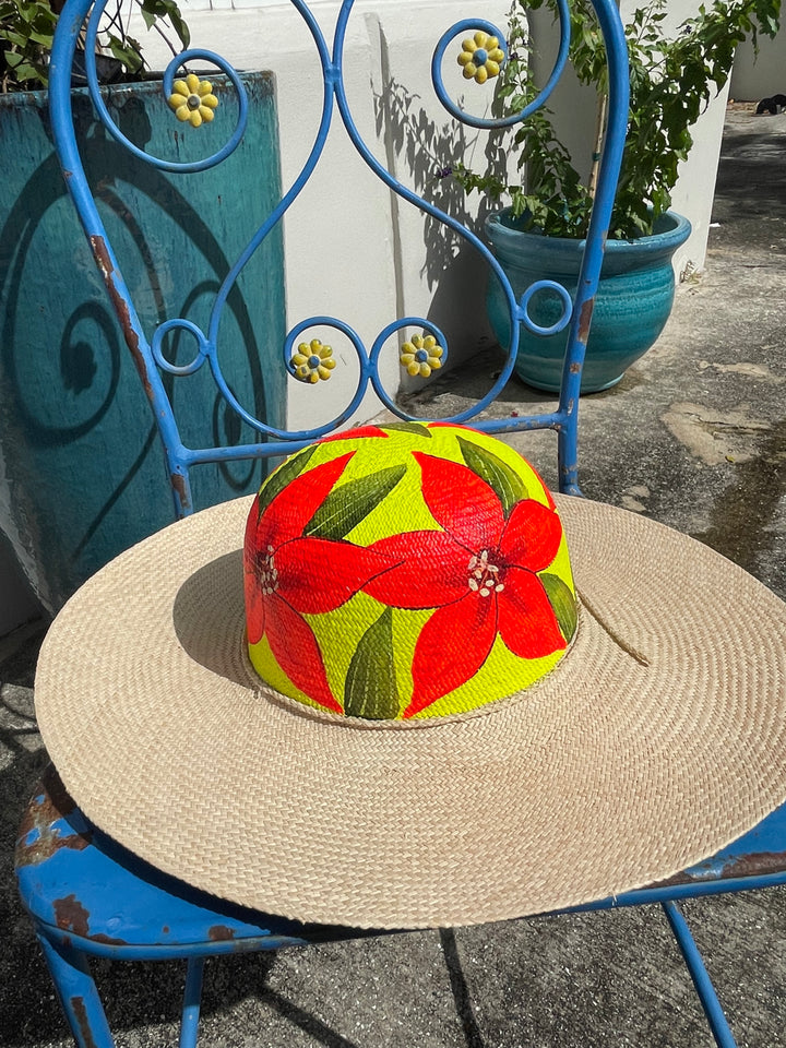 Hand Painted Straw Hat