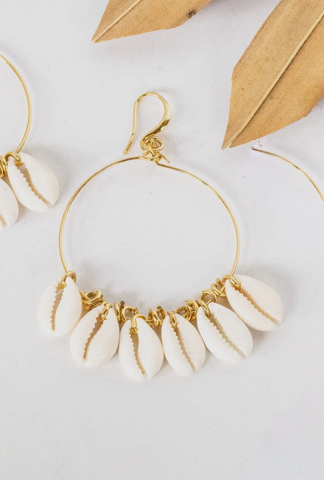 Cowrie Gold Hoop Earrings