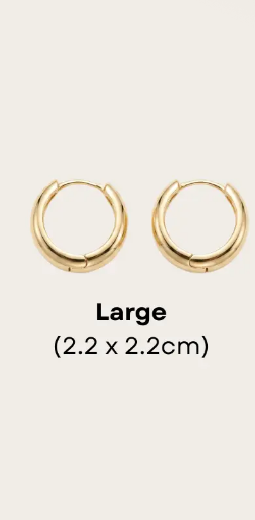 14K Gold Filled Sculptural Dome Huggie Earrings